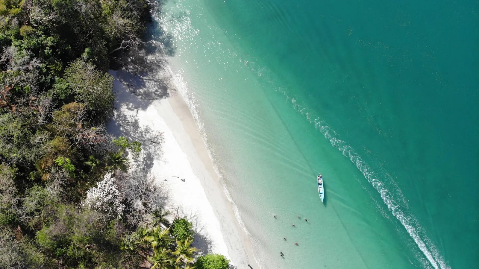 Vue aérienne d'une plage de sable blanc et d'une lancha au mouillage sur une île du Pacifique panaméen