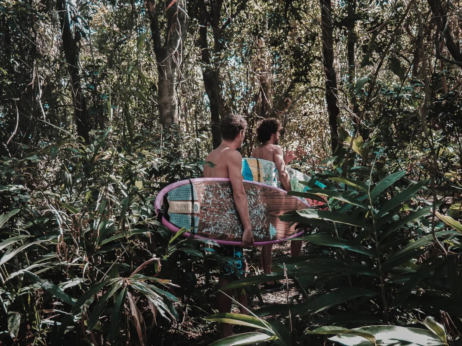 Deux surfeurs traversent la forêt tropicale sèche avec leurs planches pour rejoindre la plage, côte pacifique du Panama