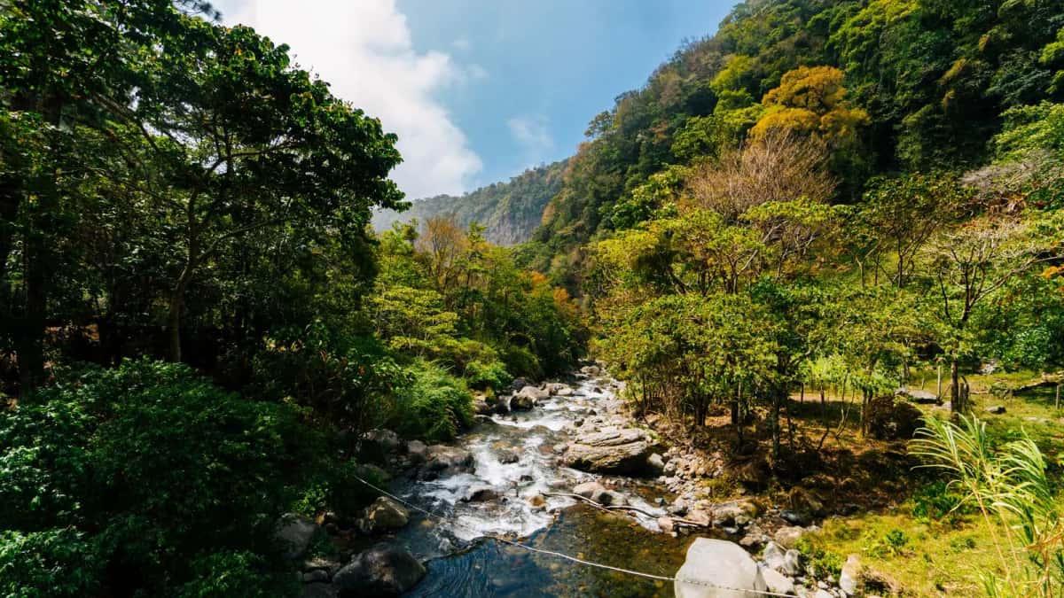 Rivière tropicale à Boquete au Panama