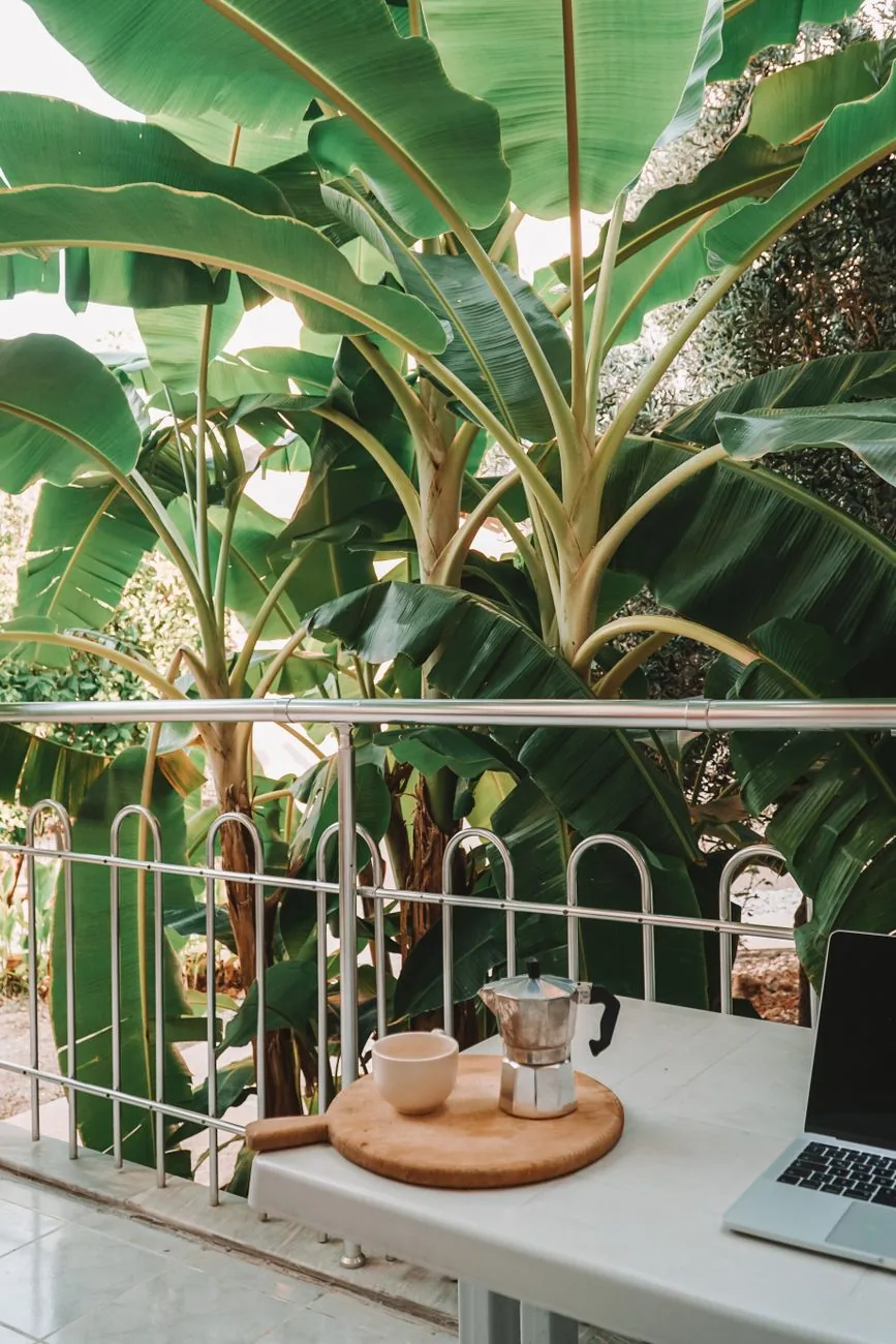 Ordinateur portable et cafetière italienne sur une table de terrasse ouverte sur des bananiers