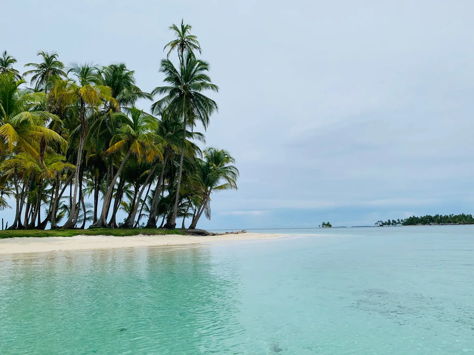 Banc de sable bordé de cocotiers et eaux turquoise peu profondes à Guna Yala, Panama