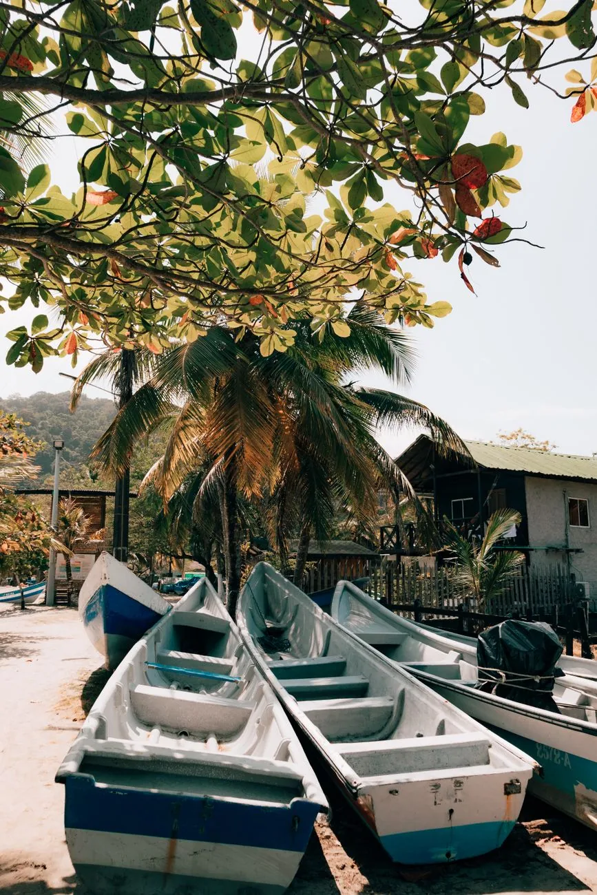 Lanchas de pêcheurs tirées sur le sable sous les cocotiers dans un village de la côte pacifique du Panama