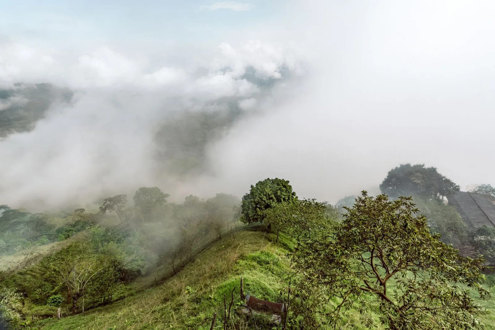 Brouillard bas et humidité sur les hauteurs tropicales, ambiance typique de la saison verte en altitude au Panama